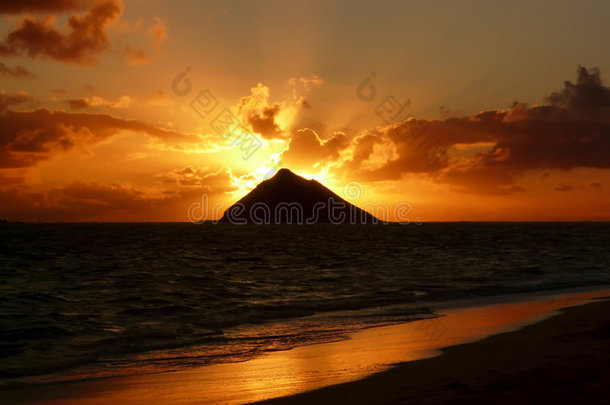 海滩美丽的海岸夏威夷夏威夷语