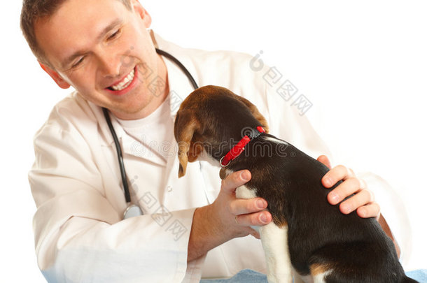 兽医和小猎犬