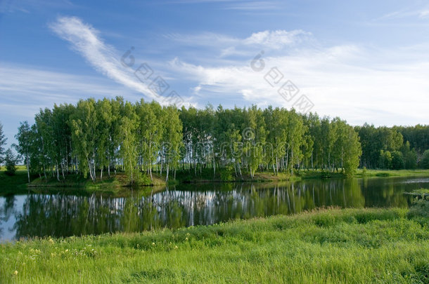 夏季小湖