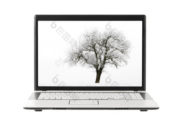 笔记本电脑显示屏上的树照片