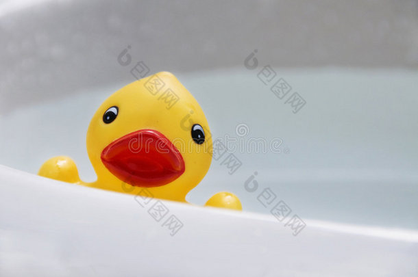 水槽中的橡胶鸭