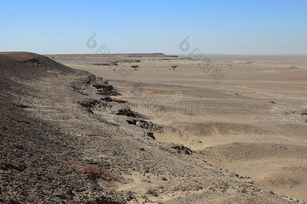 卡塔尔沙漠