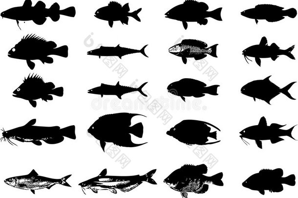 海洋动物鱼剪影套装