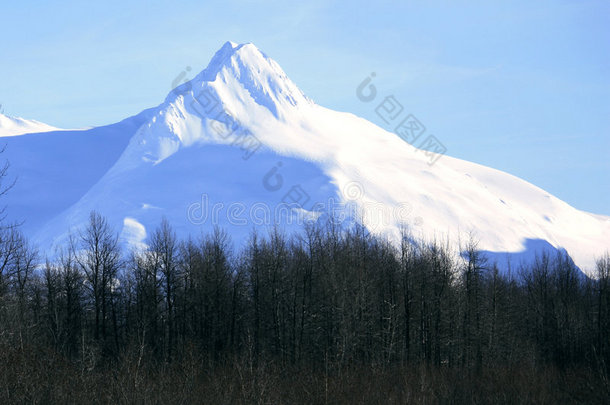 巴里德峰