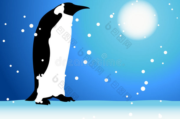 企鹅，北极的冬天