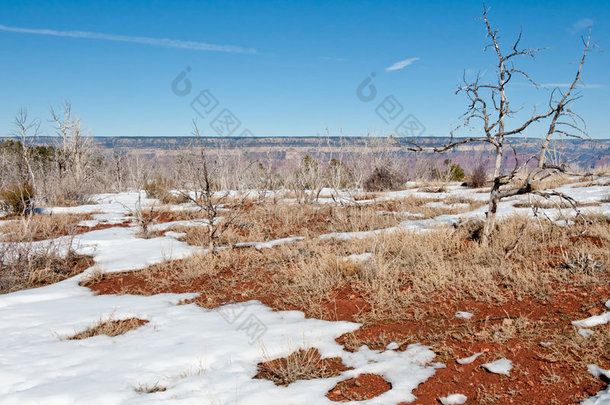 大峡谷<strong>的</strong>灌木丛和积雪