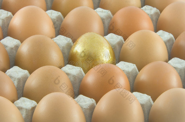 一个金蛋配许多普通蛋