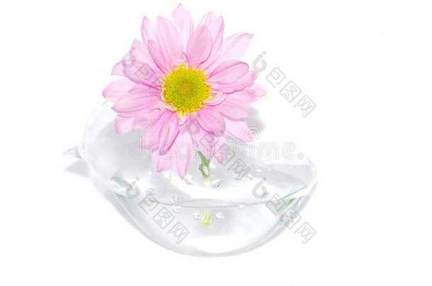 小花瓶里有一朵粉红色的小花。