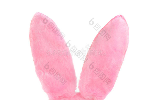 白色的粉色毛茸茸的兔子耳朵，有复印空间