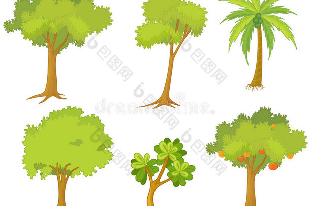 各种树木和植物