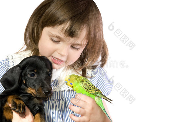 小女孩抱着鹦鹉和狗