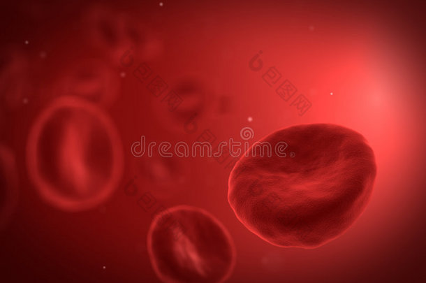 血细胞特写