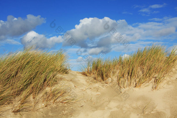 沙滩沙丘蓝天