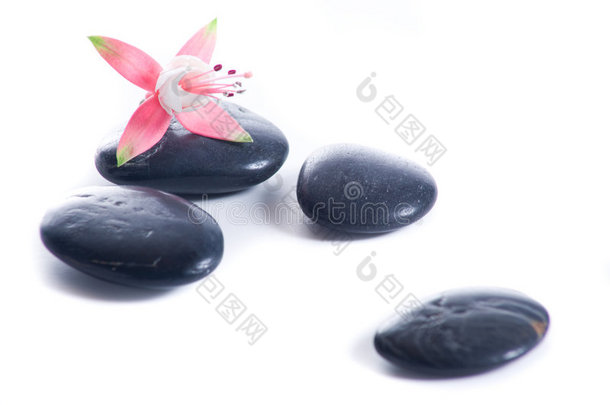 粉色花朵禅石