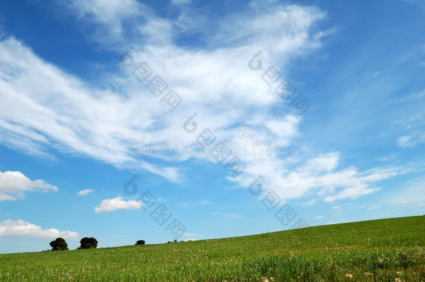 绿地和天空-背景