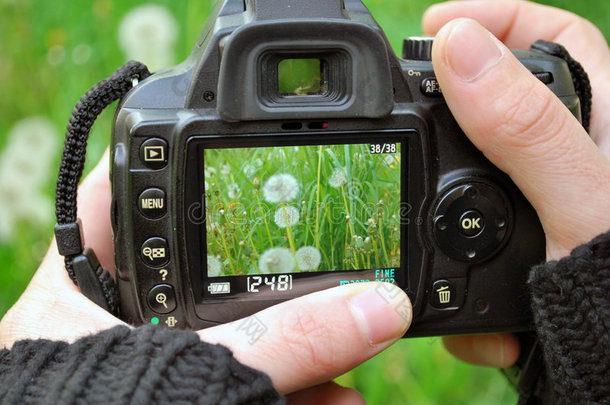 带植物的照相机显示器