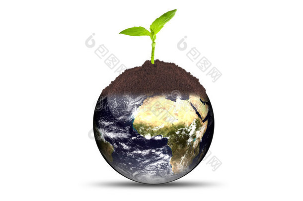 在<strong>地球</strong>上生长的<strong>植物</strong>
