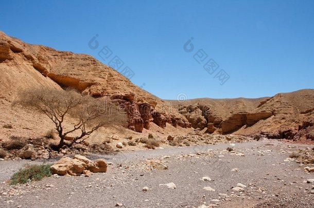 红色峡谷的沙漠景观