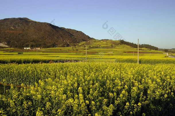 中国山水