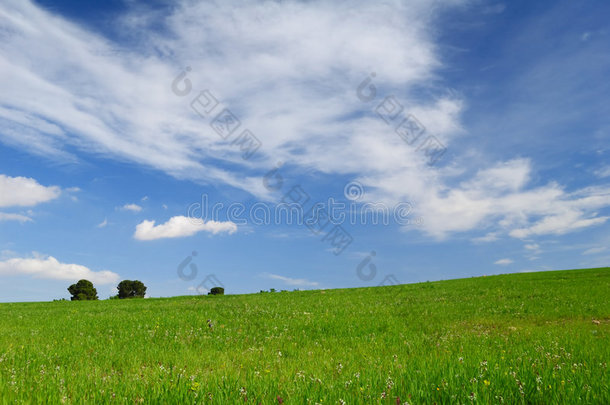 绿地和天空-背景