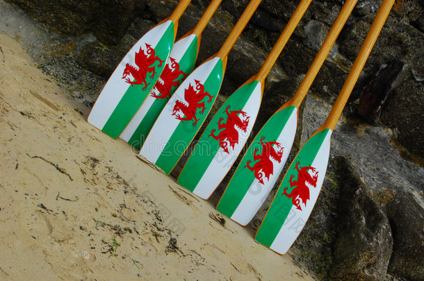威尔士划桨