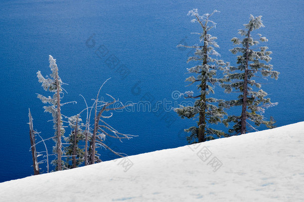 湖边白雪覆盖的树木