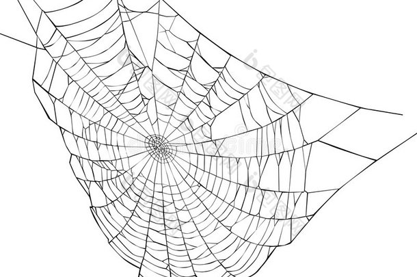 蜘蛛网图解