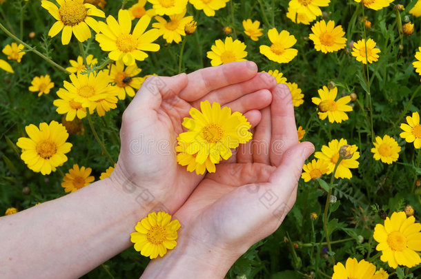 女人手里的花