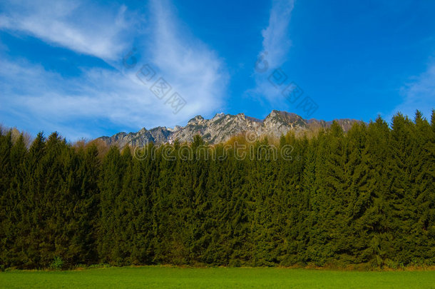 高山森林与高山