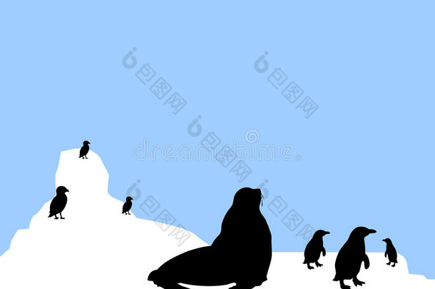 南极动物情景
