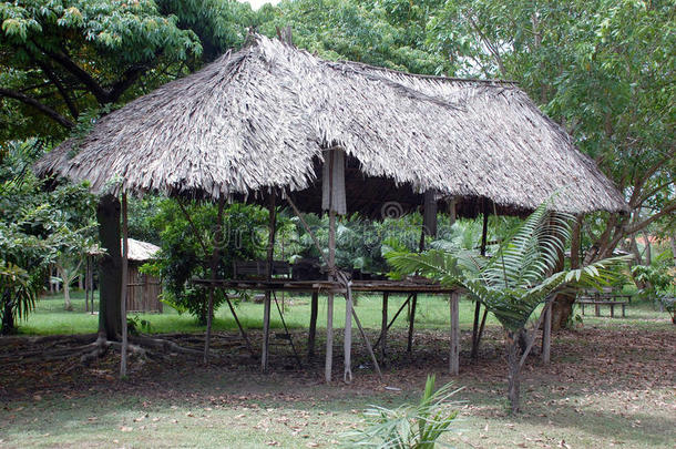 亚马逊河印第安人的典型居住地