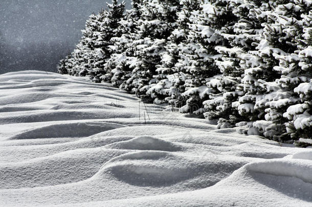 雪景