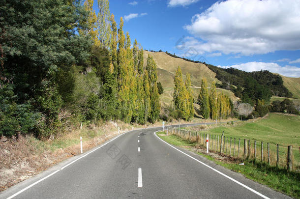新西兰农村公路