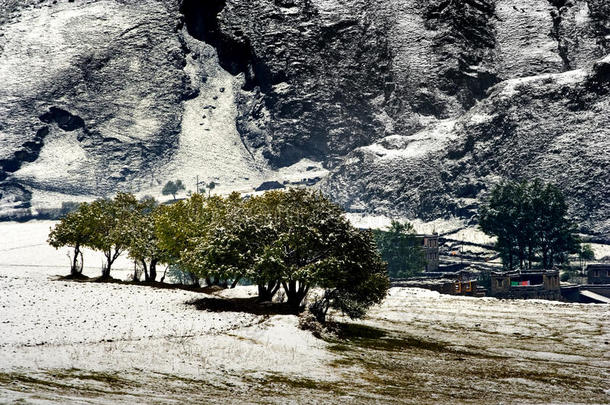 香格里拉藏族村落雪景