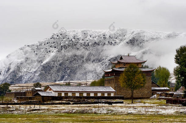 香格里拉藏族村落雪景