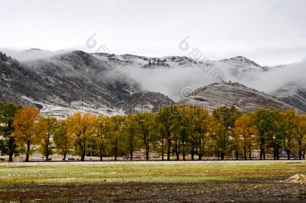 香格里拉藏族村落雪景