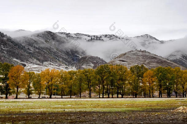 香格里拉<strong>藏族</strong>村落雪景