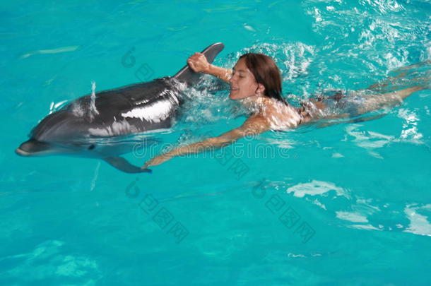 和海豚一起游泳的女人