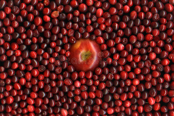 红苹果和小红莓