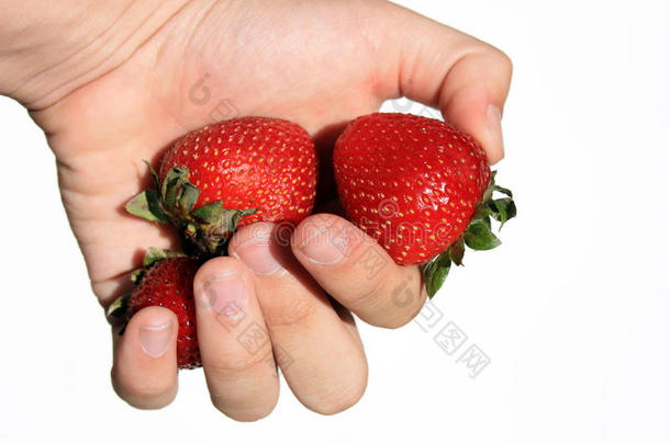 草莓采摘机