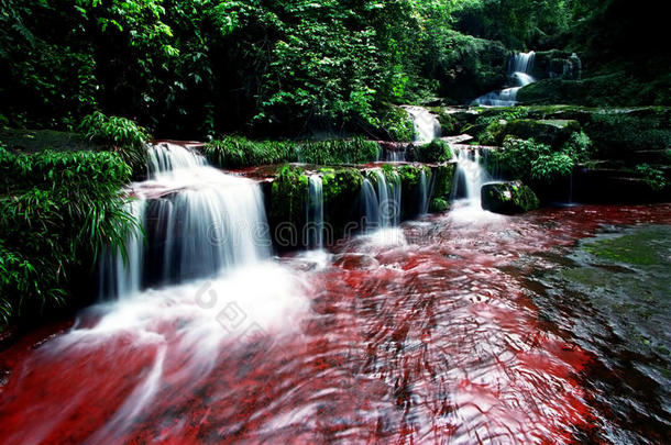贵州赤水瀑布