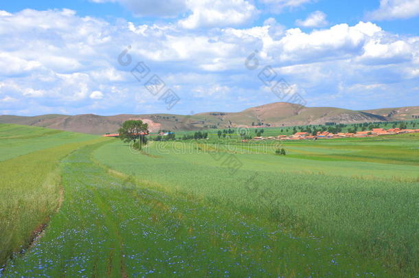 风景