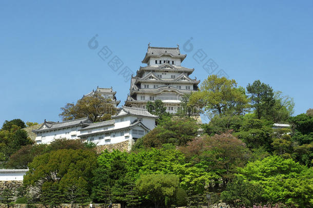 明春时节的姬陵远眺