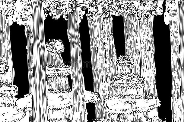 森林插画黑白