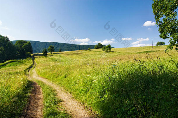 穿越夏日乡村的公路