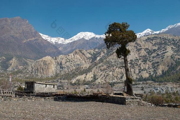 喜马拉雅山藏族村落