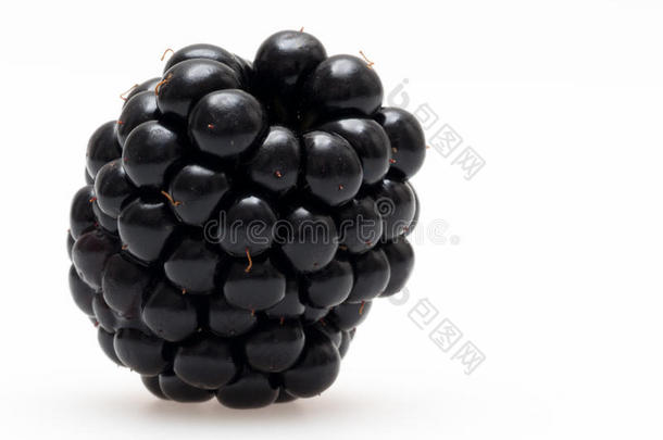 单黑莓