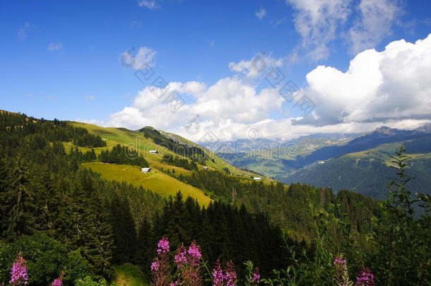 阿尔卑斯山风景区