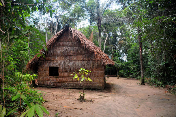 亚马逊河流域土著居民的典型居住地