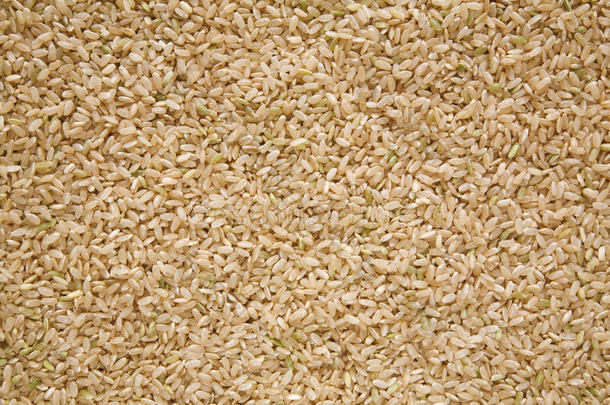 中粮糙米